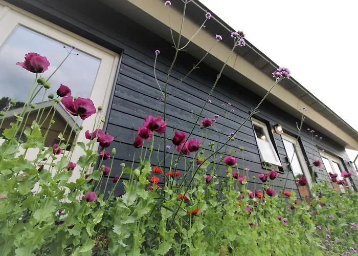 Vakantiehuis Bloom-Inn Gastvrij Genieten